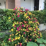 Amy&julie Bed and Breakfast Badia Polesine