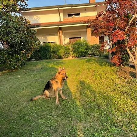 Amy&julie Badia Polesine