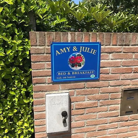 Amy E Julie