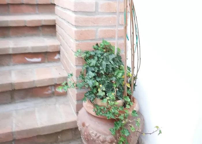 Amy&julie Bed & Breakfast Badia Polesine